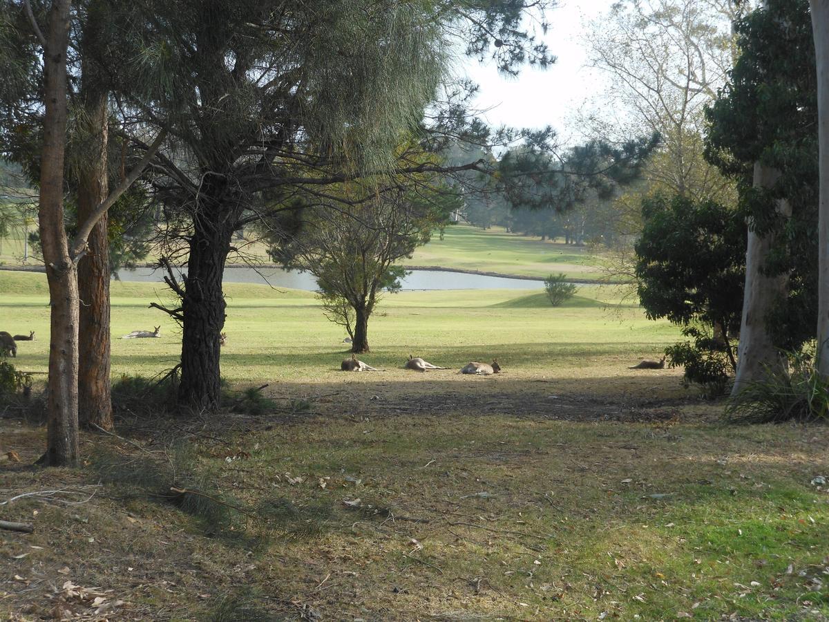 Golf View Motel Sanctuary Point Ngoại thất bức ảnh